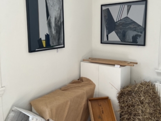 Susanne Bertelsen (5)